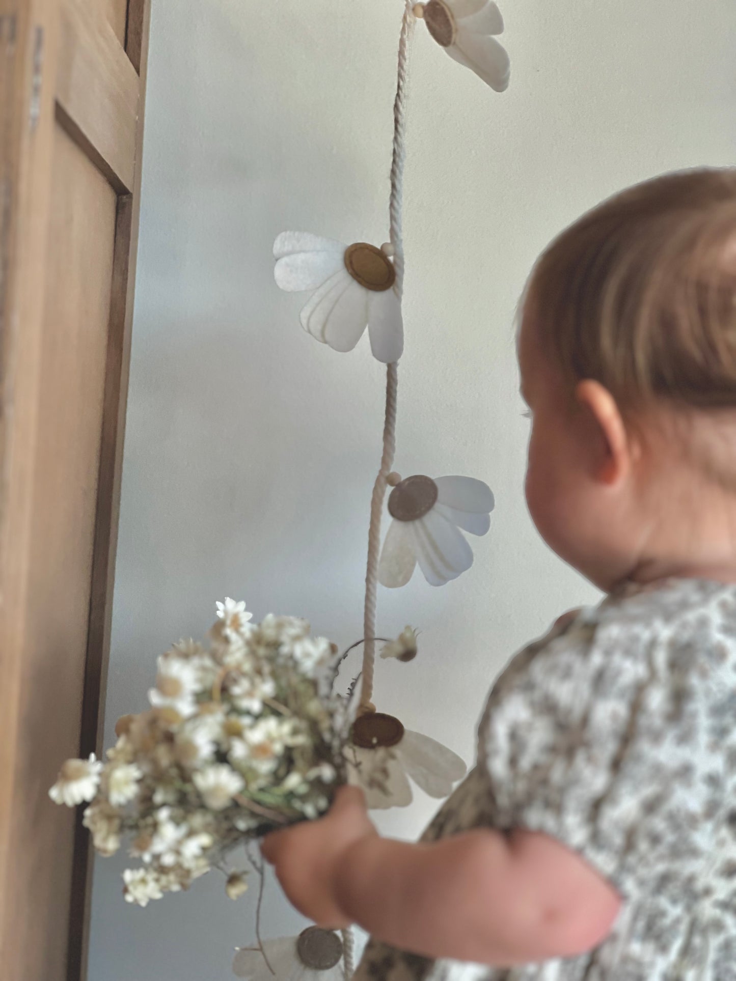 Daisy Garland