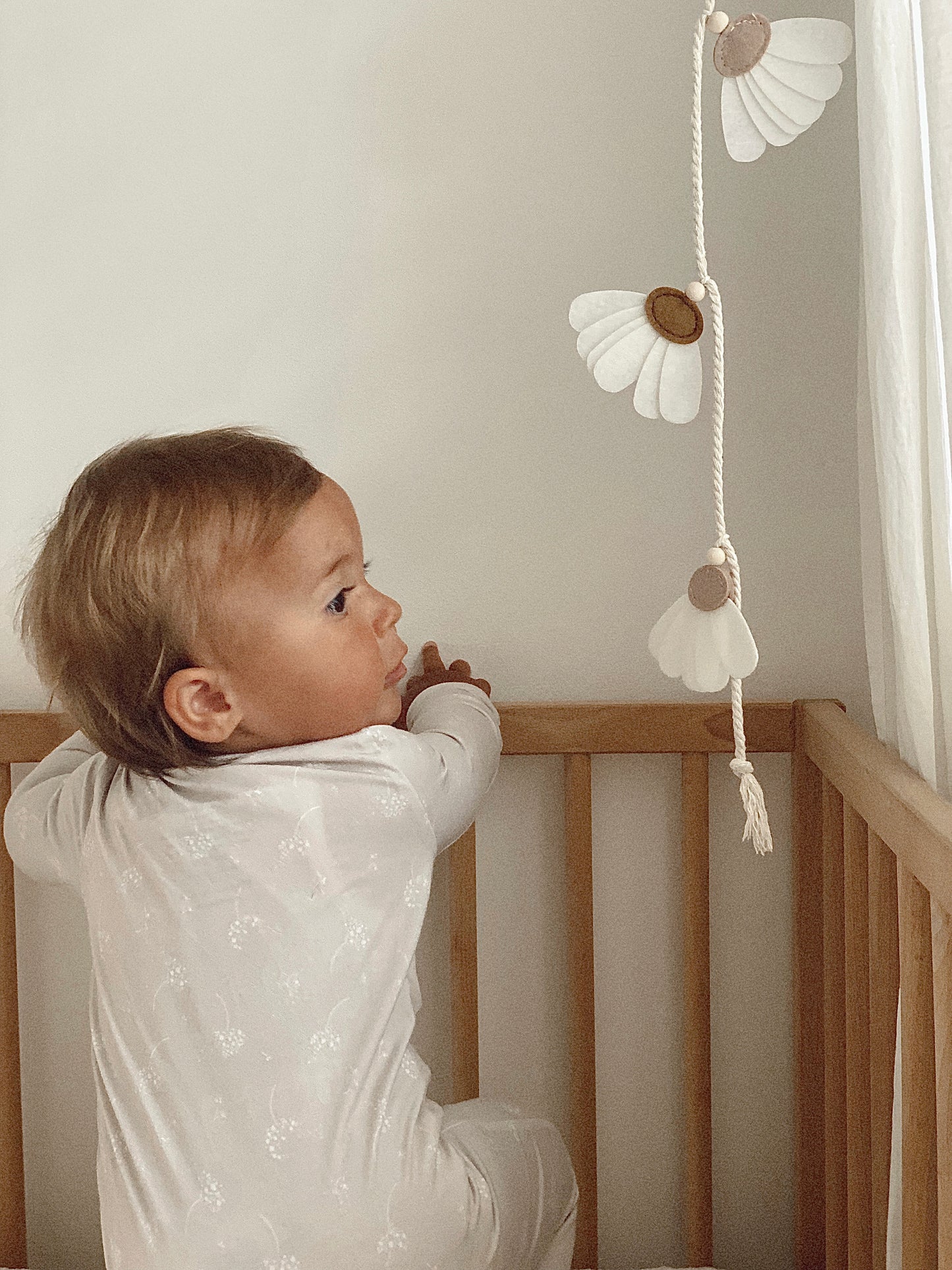 Daisy Garland